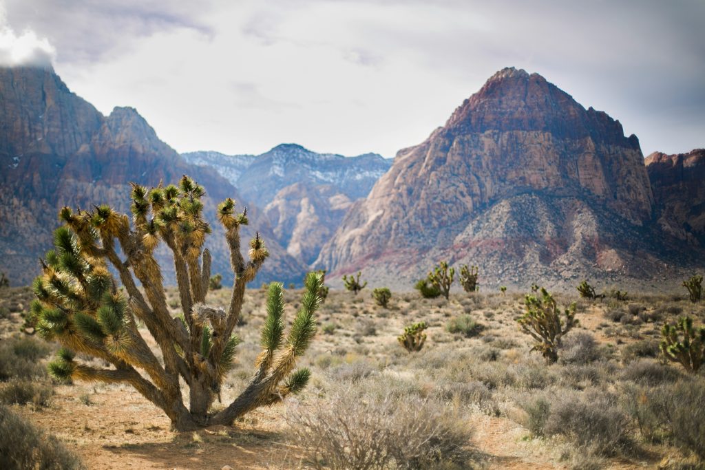 The Reserve at Red Rock Canyon Las Vegas